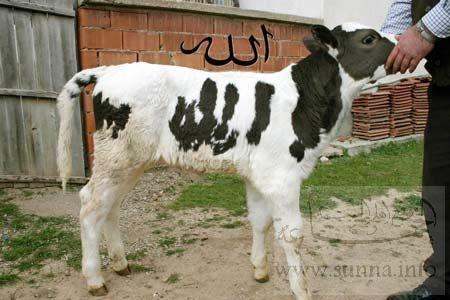 sob7ana  LLah